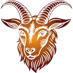 Capricorn